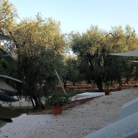 מאטינאטה Dimora Basso מראה חיצוני תמונה