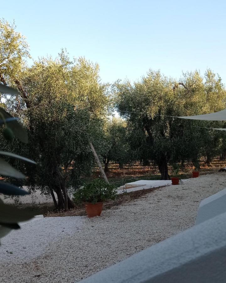 מאטינאטה Dimora Basso מראה חיצוני תמונה