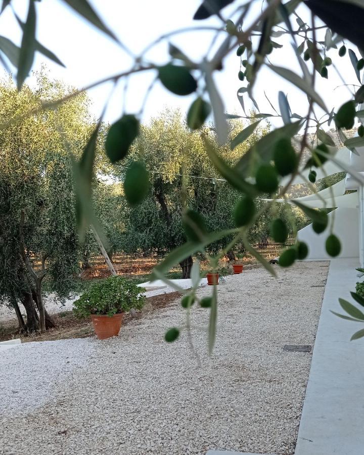 מאטינאטה Dimora Basso מראה חיצוני תמונה